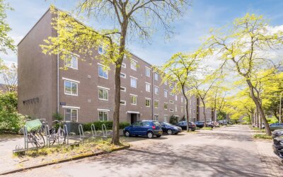 Honingen 6