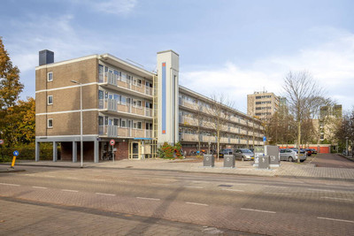 Havikshorst 80