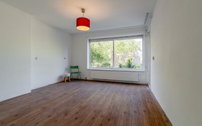 Nedersticht 246