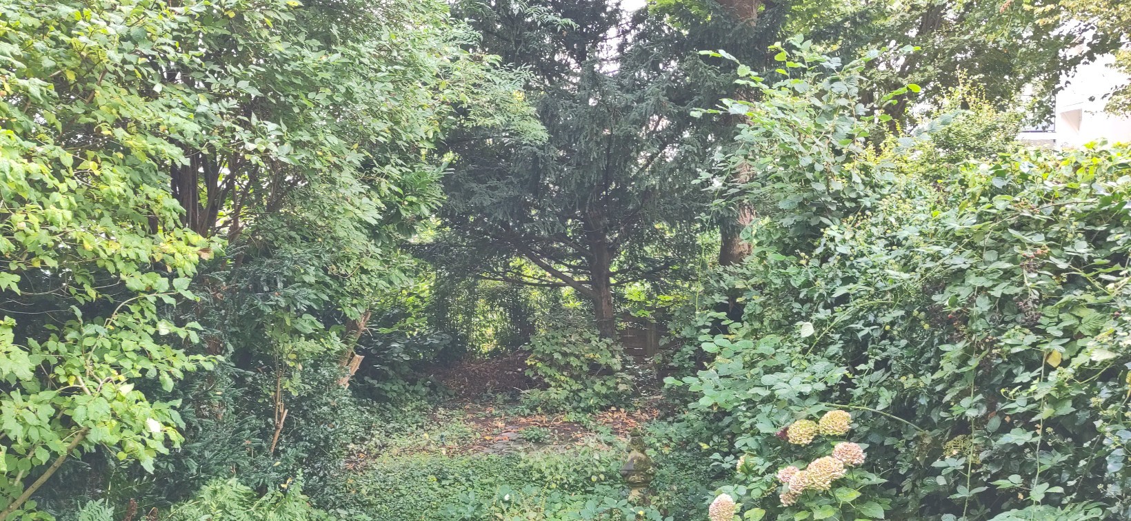Appartement te koop: Ruyschstraat 5H, Amsterdam