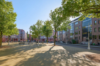 Iepenplein 62