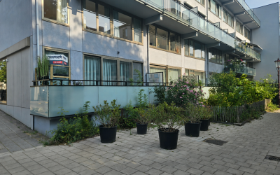 Burmandwarsstraat 1