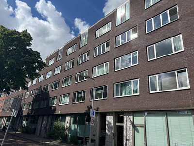 Schollenbru. 12