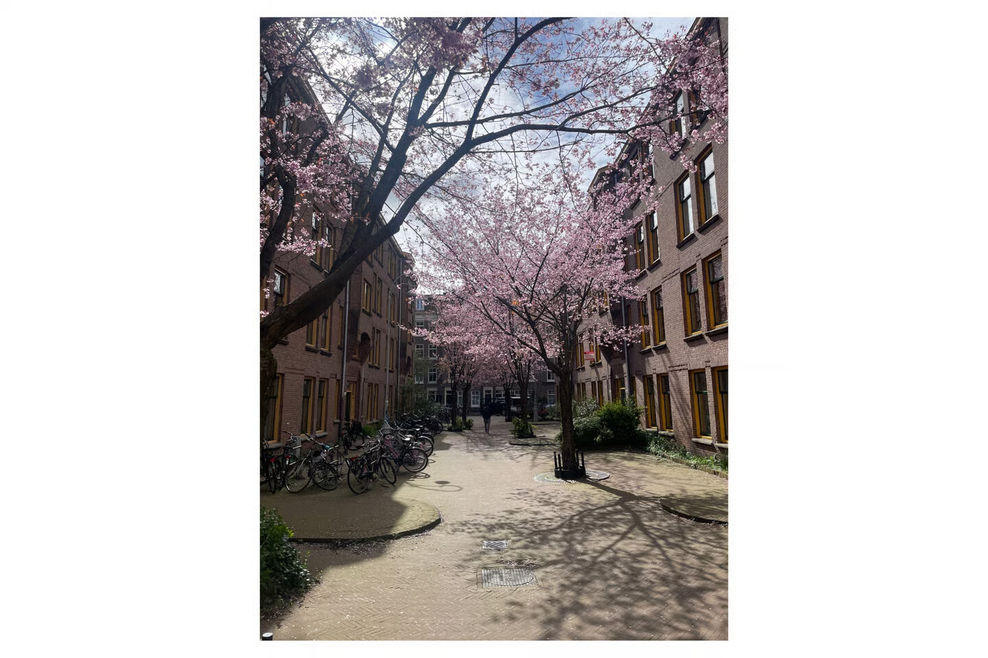 Studio te koop: Langkatstraat 36, Amsterdam