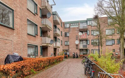 Obiplein 51