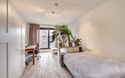 Welnastraat 355