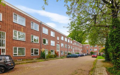Mendelhof 13-1