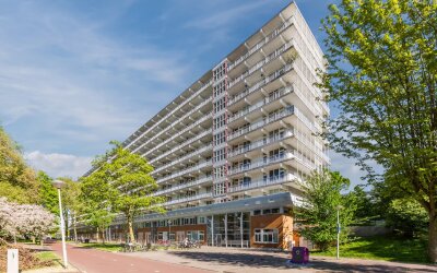 Hoogoord 39