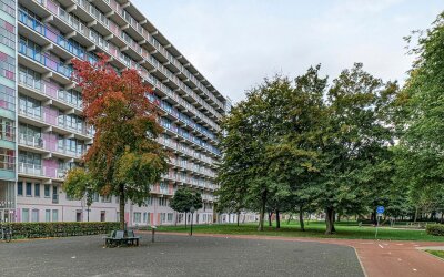 Hogevecht 87