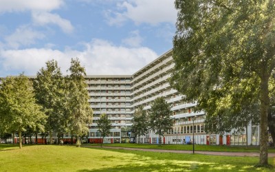 Grubbehoeve 619