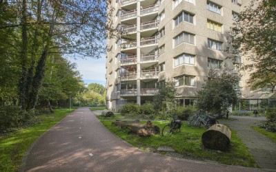 Gouden Leeuw 807
