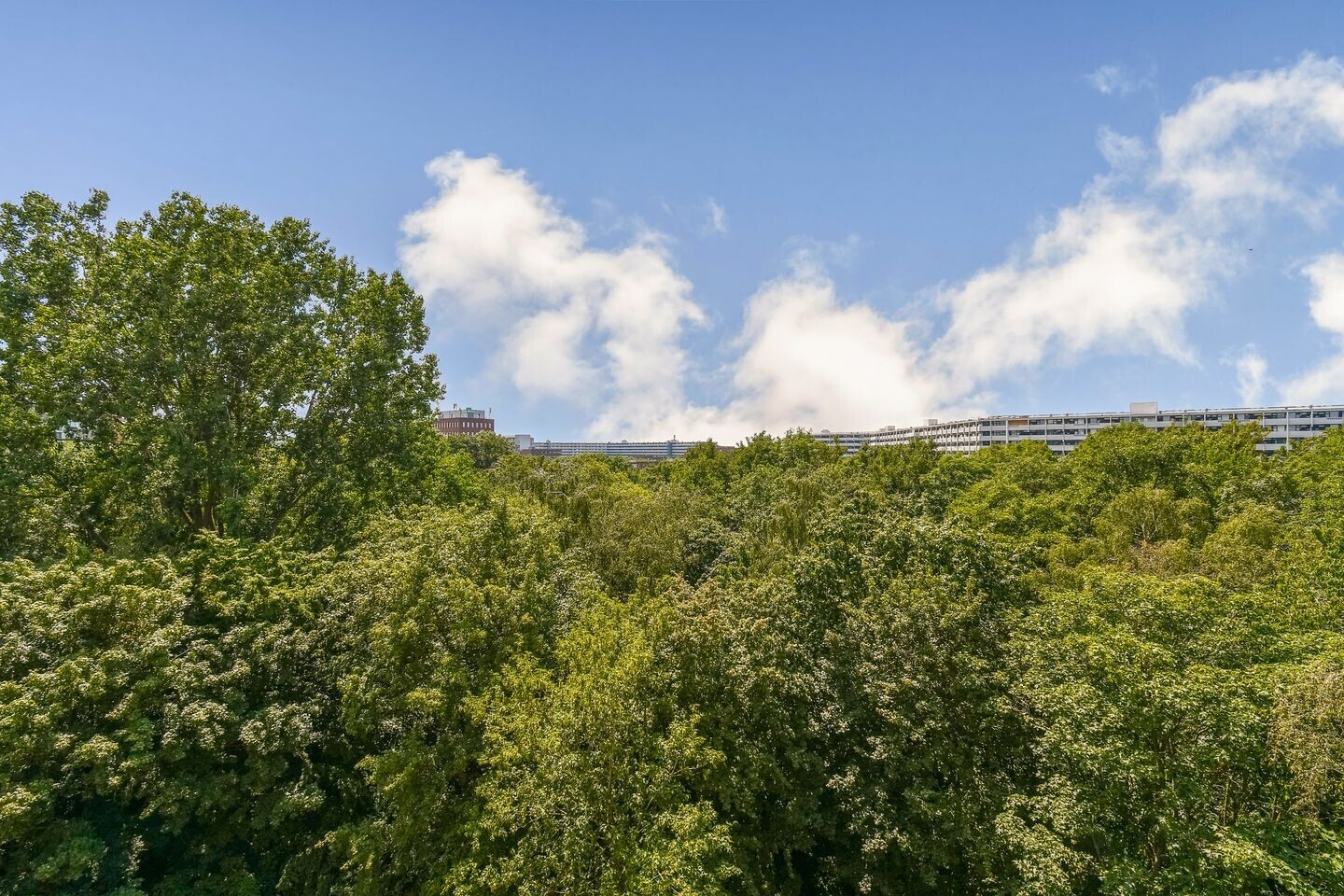 Appartement te koop: Gouden Leeuw 838, Amsterdam