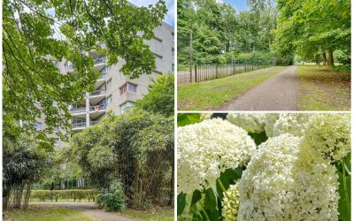 Groenhoven 449