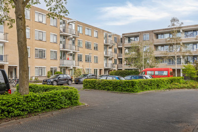 Scherpenzee. 145