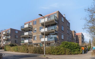 Schelluinen. 19