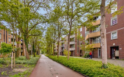 Wisseloord 73