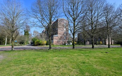 Liendenhof 241