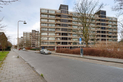 Tobias Asse. 323