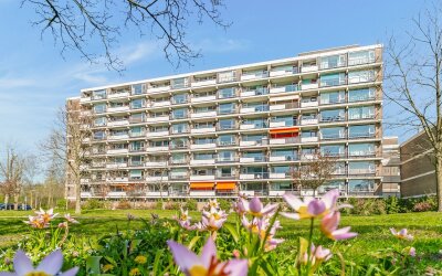 Martin Luther Kinglaan 486
