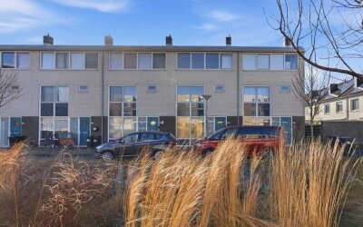 Wulp 40
