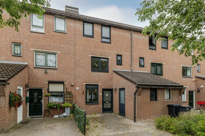 Hartschelp 10
