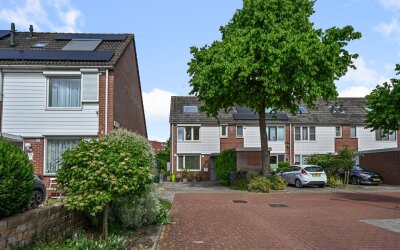 Speenkruid 58