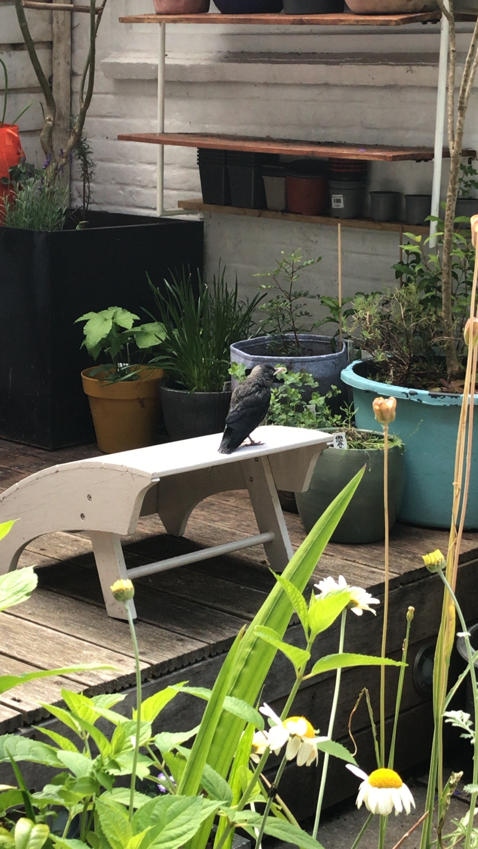 Appartement te koop: Kloosterstraat 65, Duivendrecht