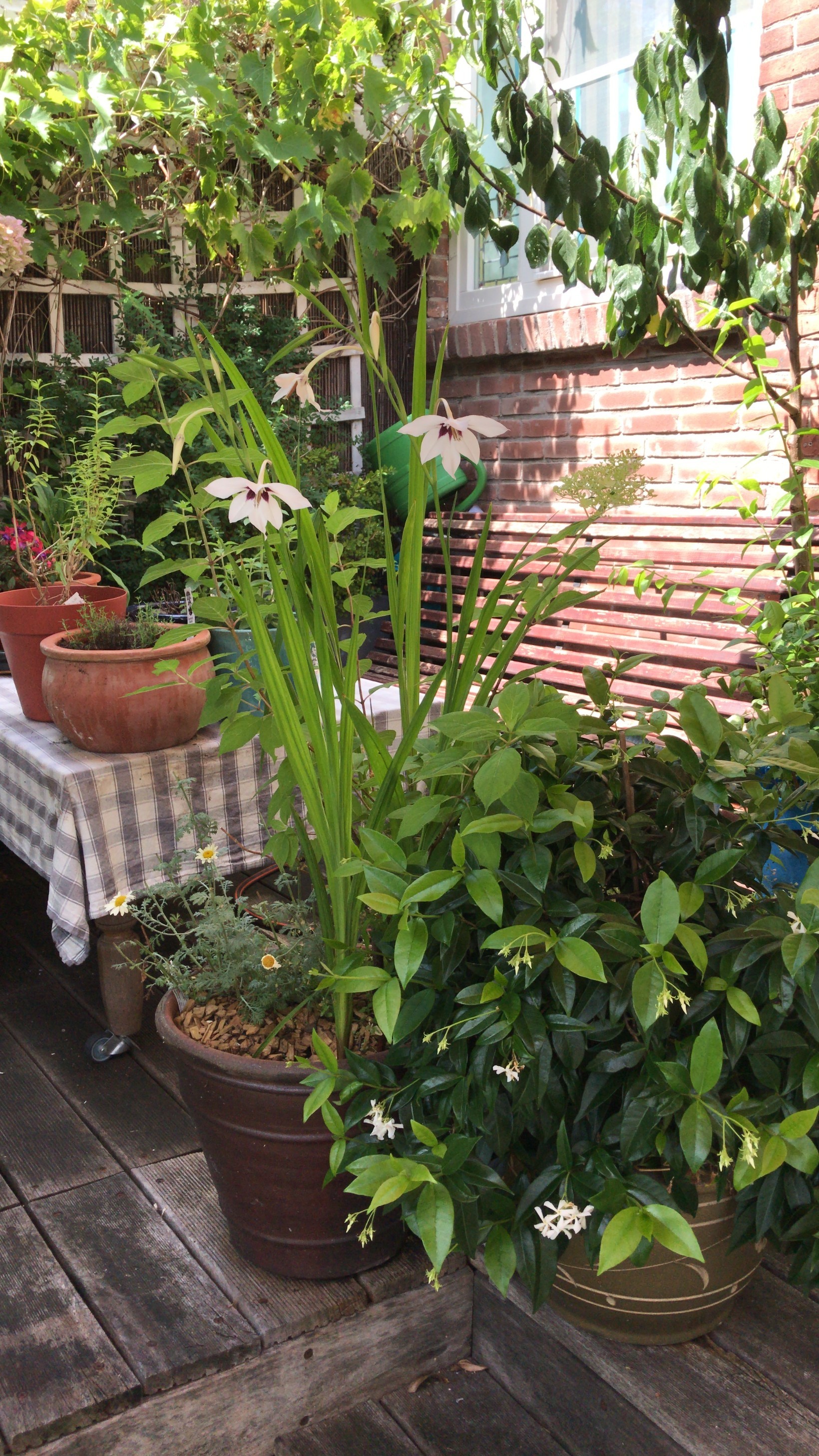 Appartement te koop: Kloosterstraat 65, Duivendrecht