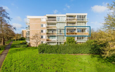 Parnassiave. 41
