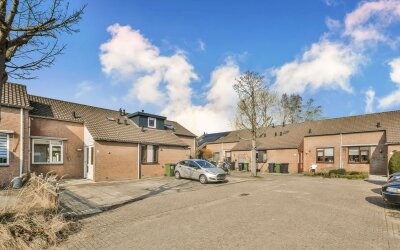Zilverschoon 9