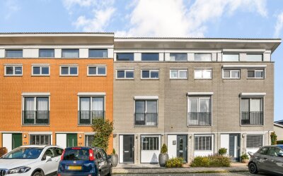 Goudpluvier 11