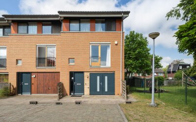 Goudpluvier 39