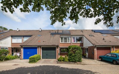 Pieter Taemszstraat 4
