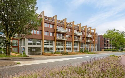De Werf 54