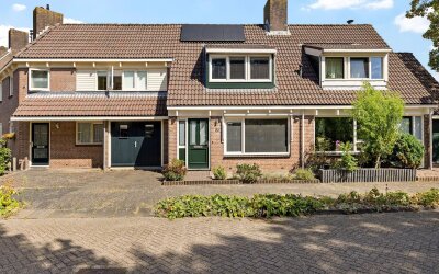 Rielant 53