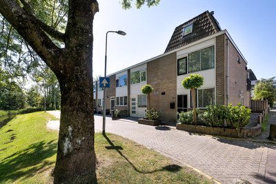 Populierenl. 50