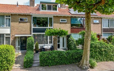 Jan van Gen. 8