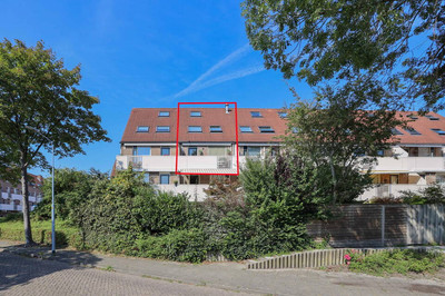 Thomsonstraat 203