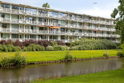 Biesbosch 11