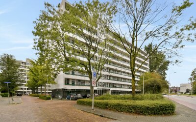Sint Philipsland 85