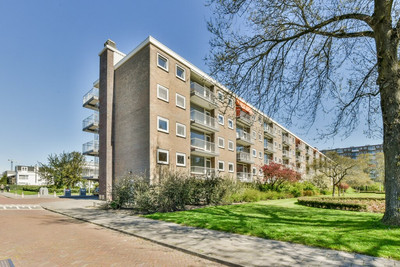 Bijdorp 1