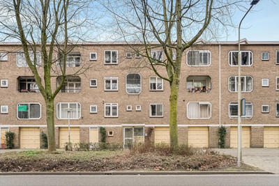 Meander 703