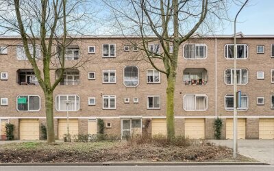 Meander 703