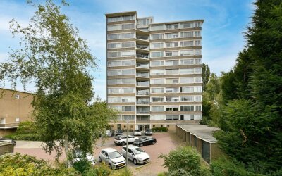 Meander 817