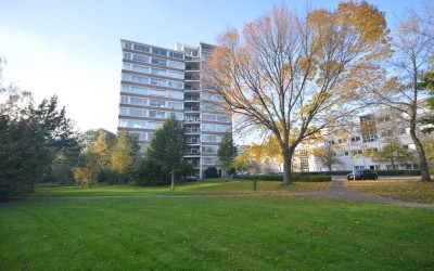 Meander 1023