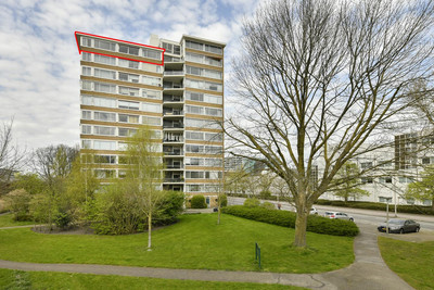 Meander 1101