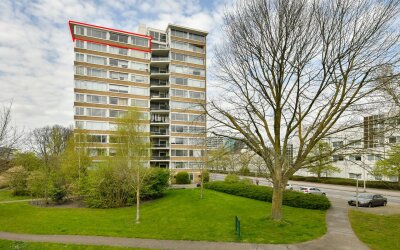 Meander 1101