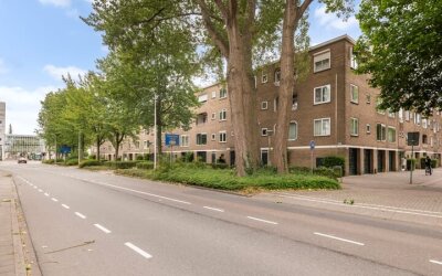 Meander 901