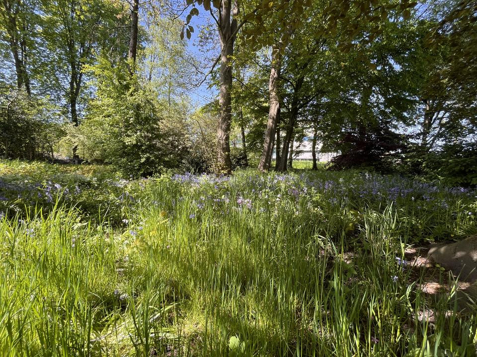 Vrijstaande woning te koop: Kruitmolen 23, Amstelveen