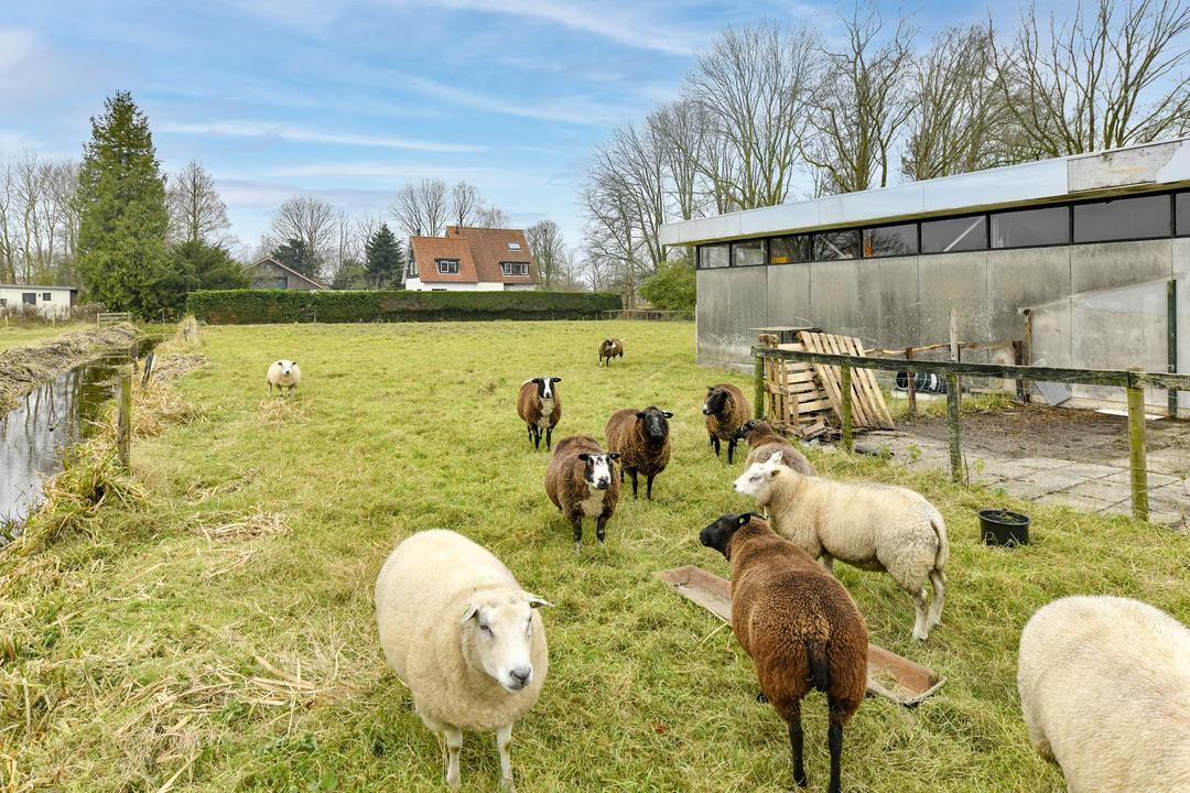 Vrijstaande woning te koop: Kruitmolen 23, Amstelveen